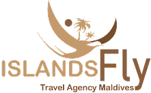 Islandsfly