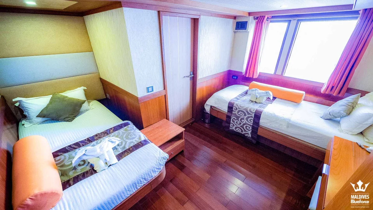 Deluxe Cabin - 111