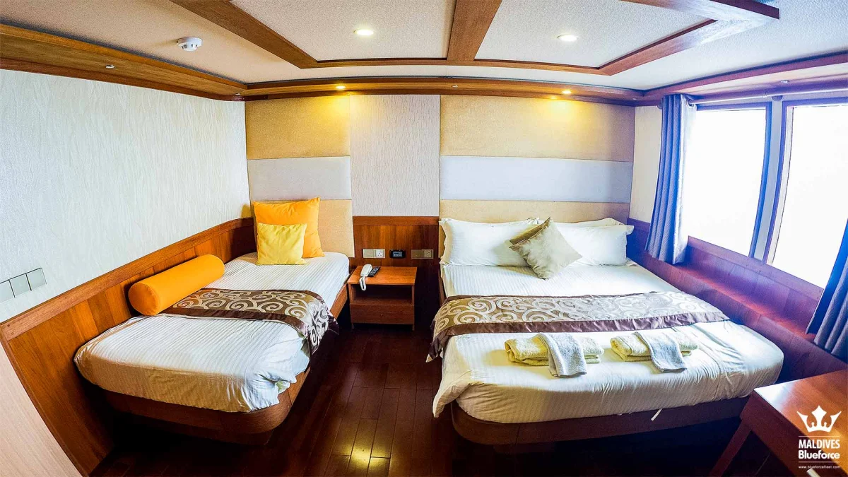 Junior Suite - 101