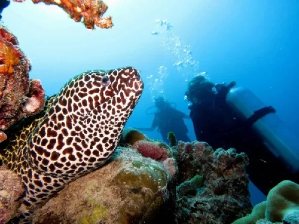 Snorkelling Adventures