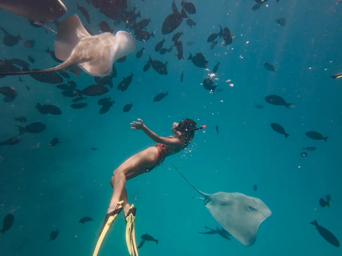 Snorkelling Adventures