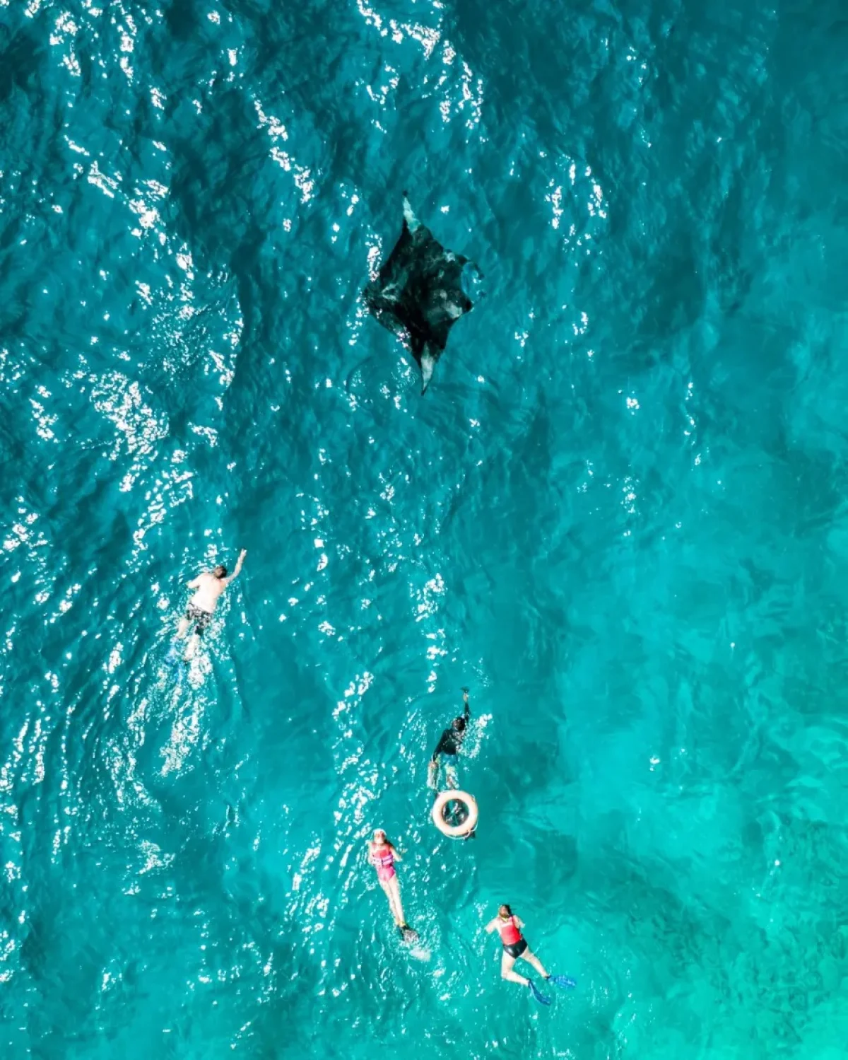 Private Snorkelling Experience