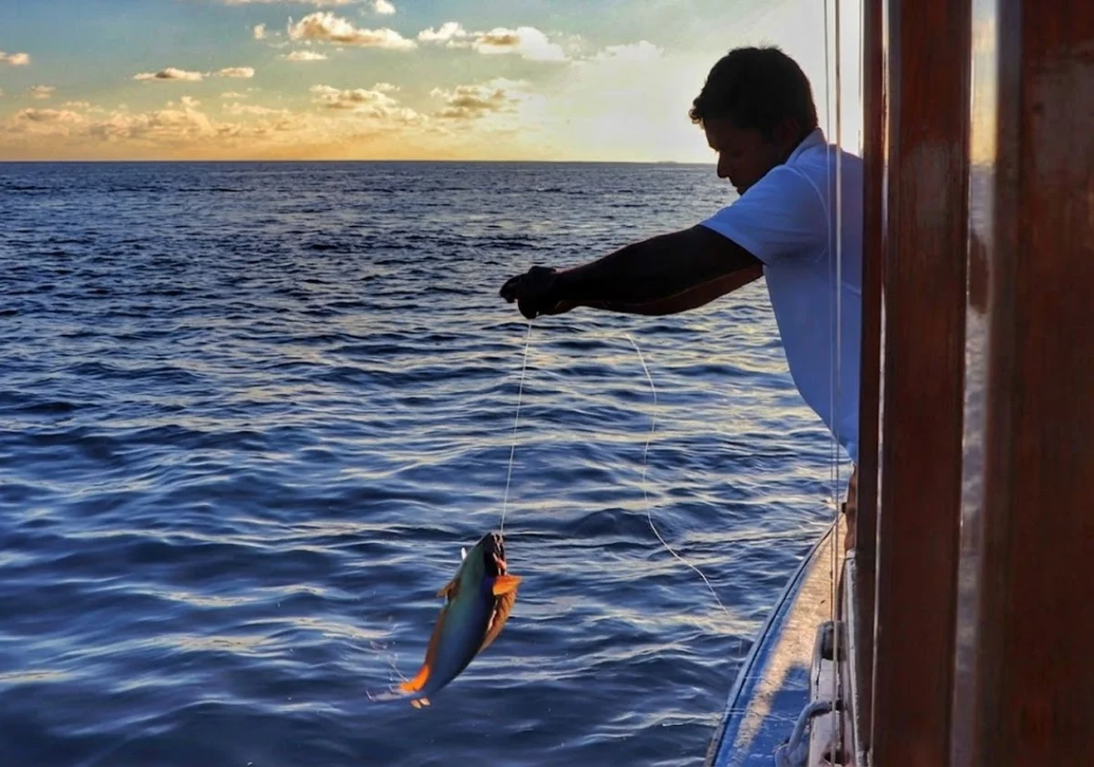 Sunset Fishing Trip