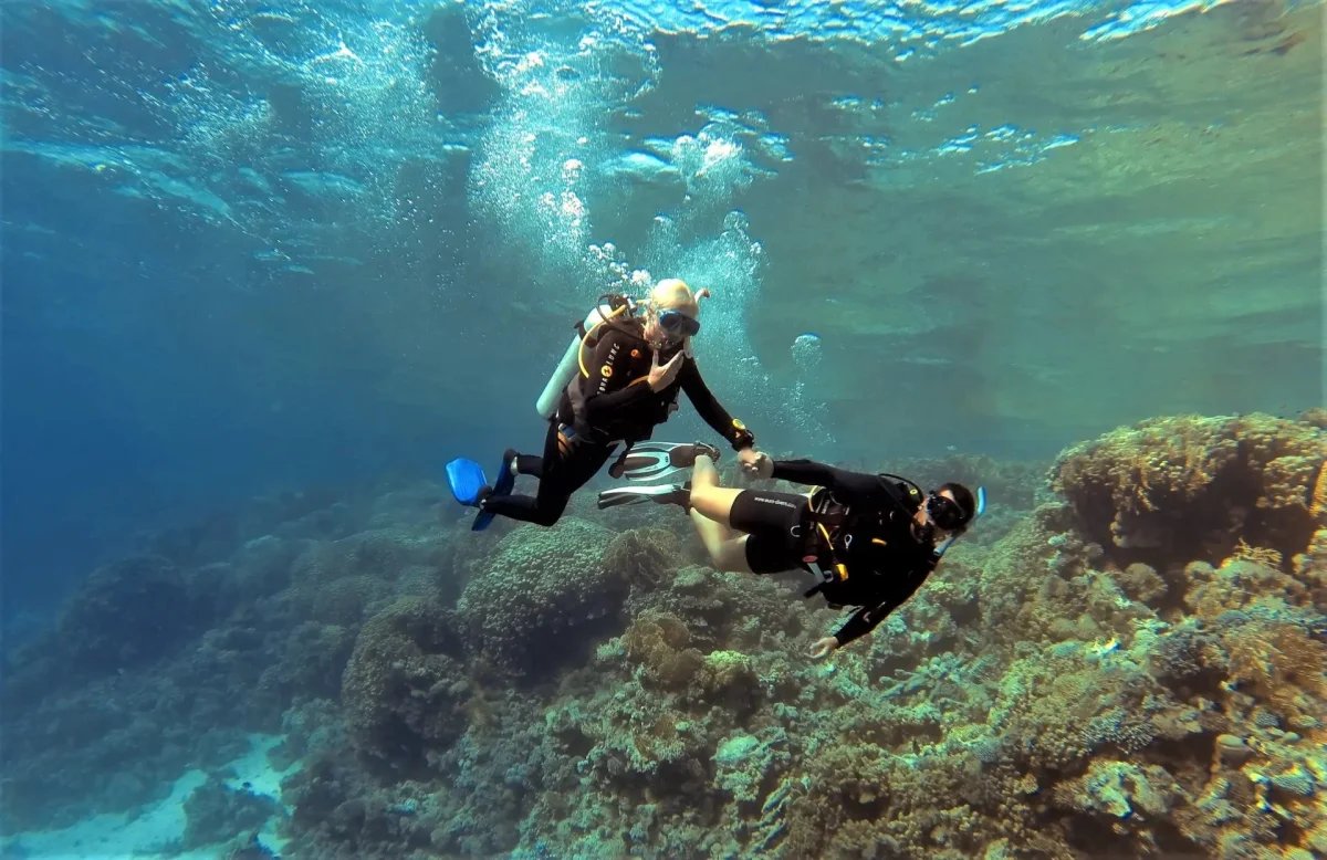 Diving