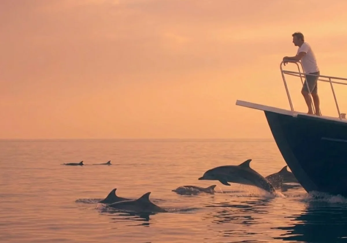 Sunset Dolphin Cruise