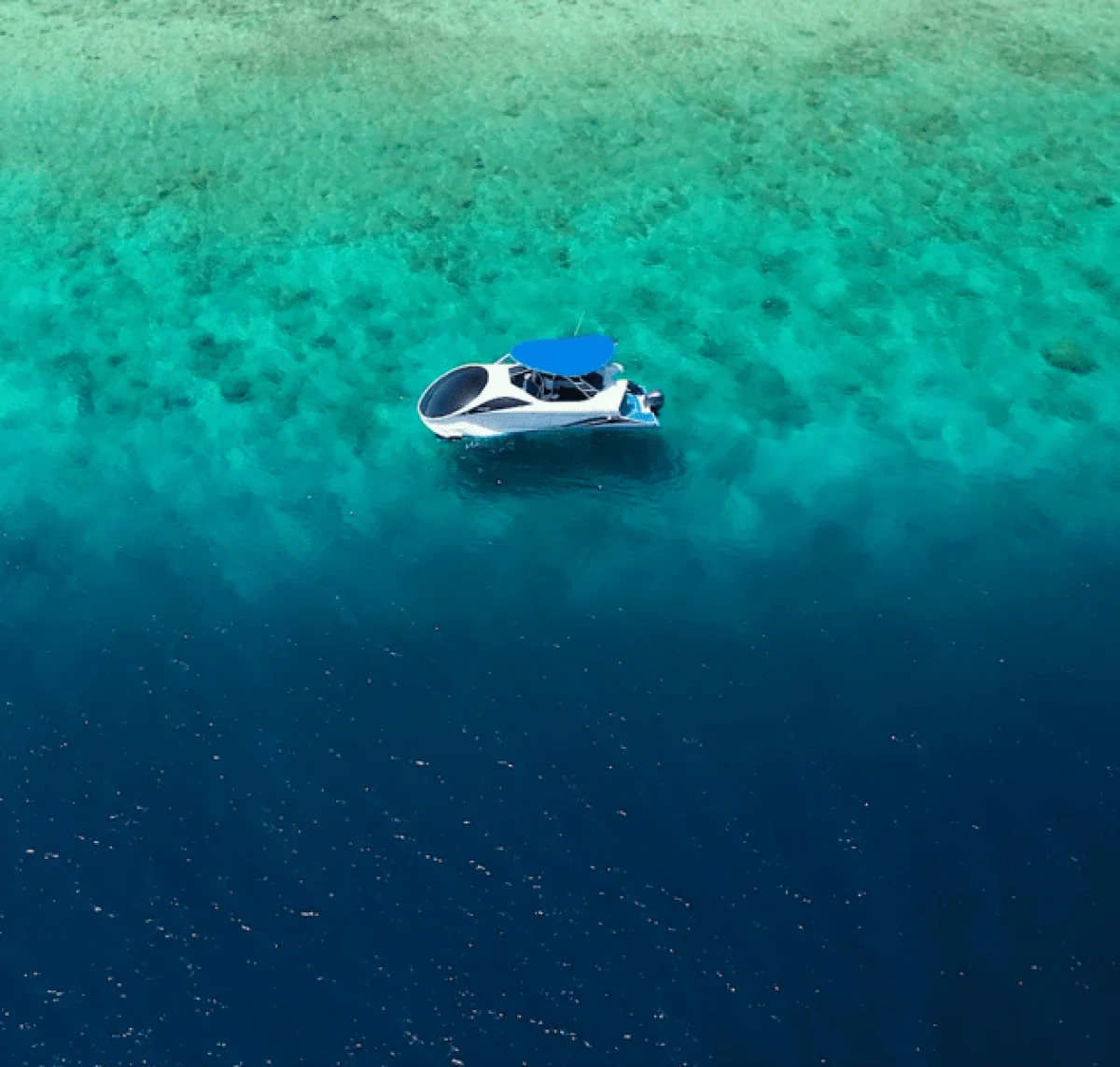 Glass Bottom Boat