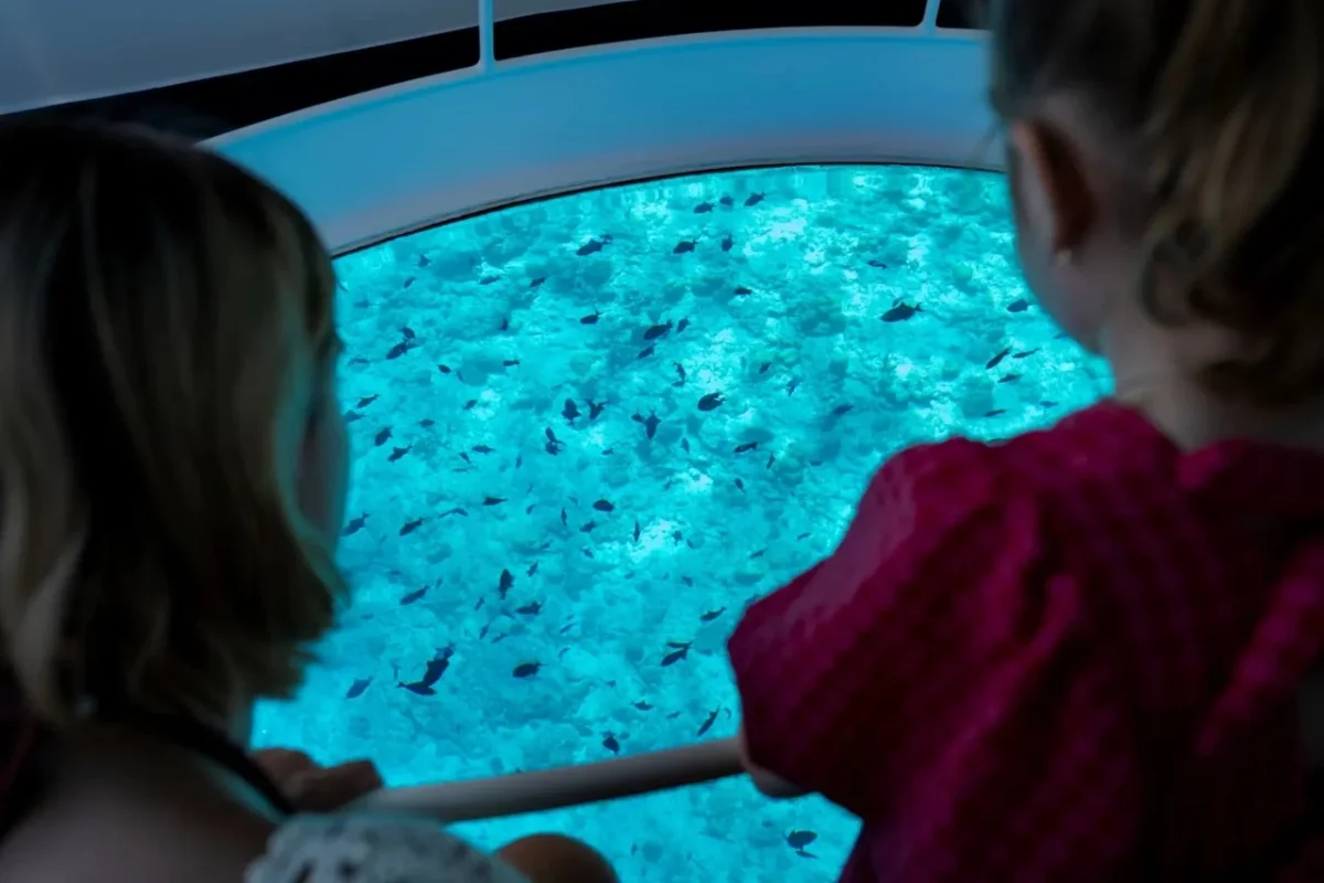 Glass-Bottom Boat Experience