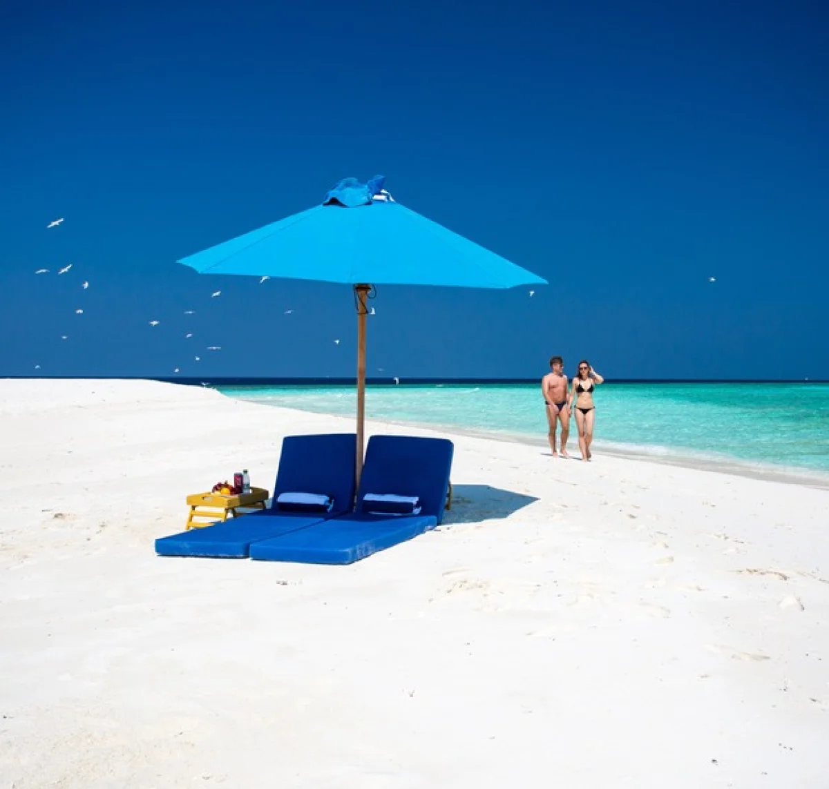 Sand Bank Picnic