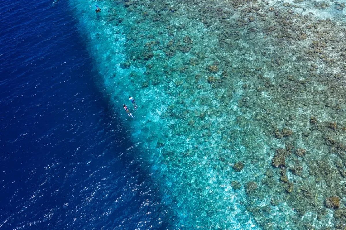 Snorkelling Adventures