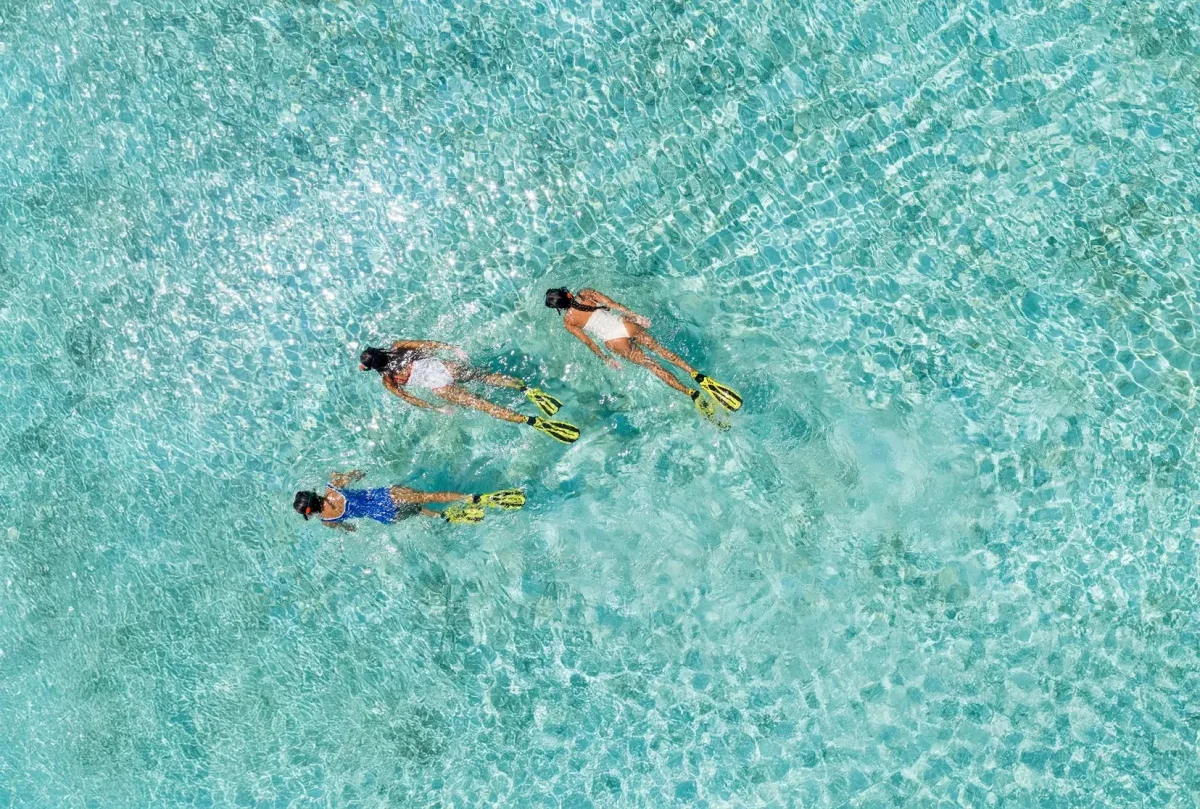 Snorkelling Adventures
