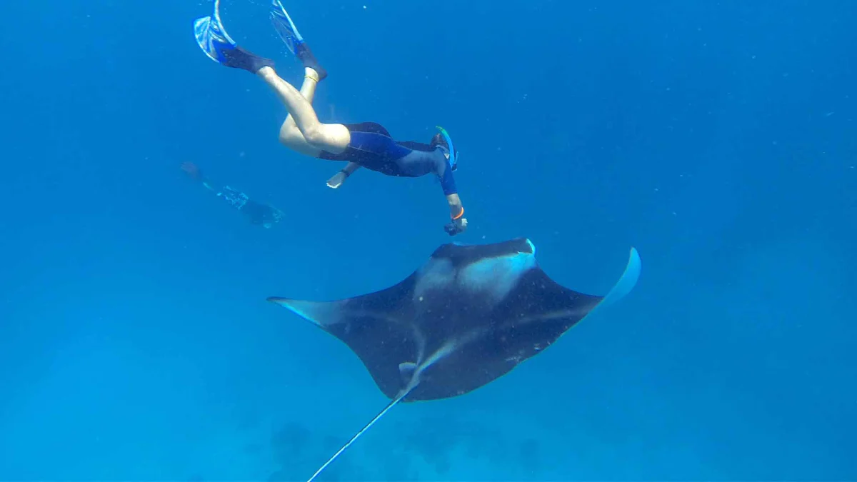 Sports & Excursions