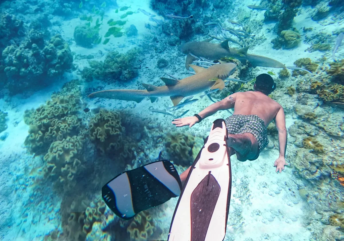 Snorkelling Adventures