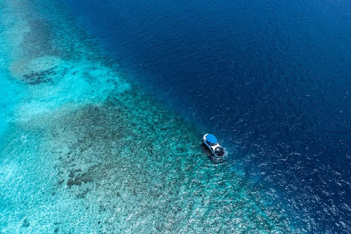 Glass-Bottom Boat Experience