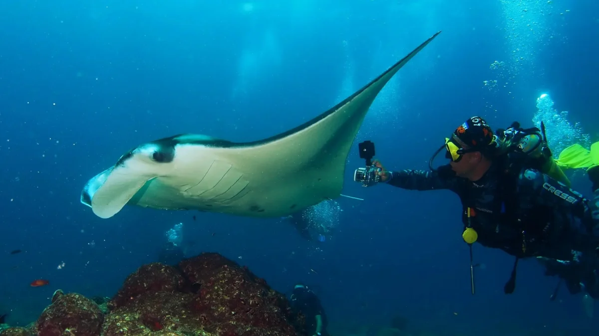 Diving