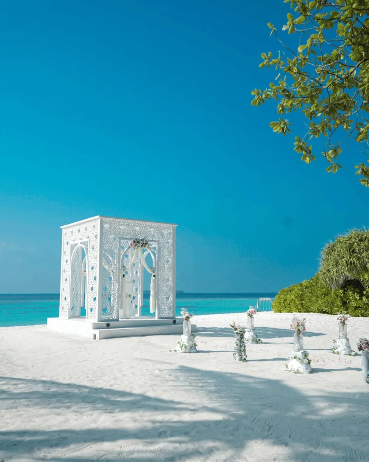 Free Wedding Celebration