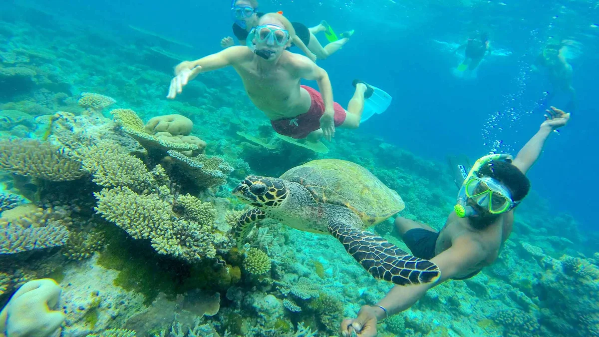Sports & Excursions