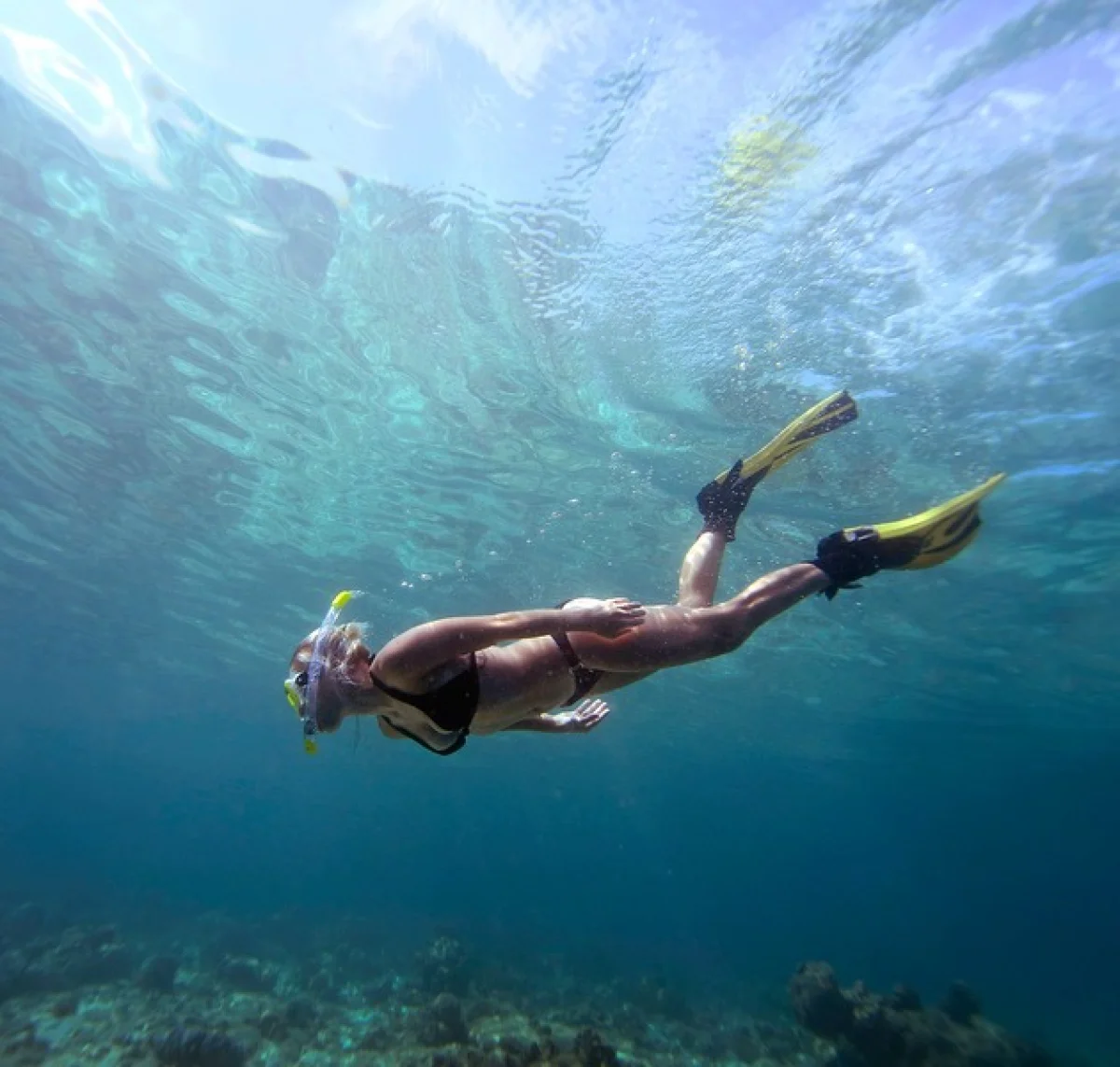 Snorkeling Trip