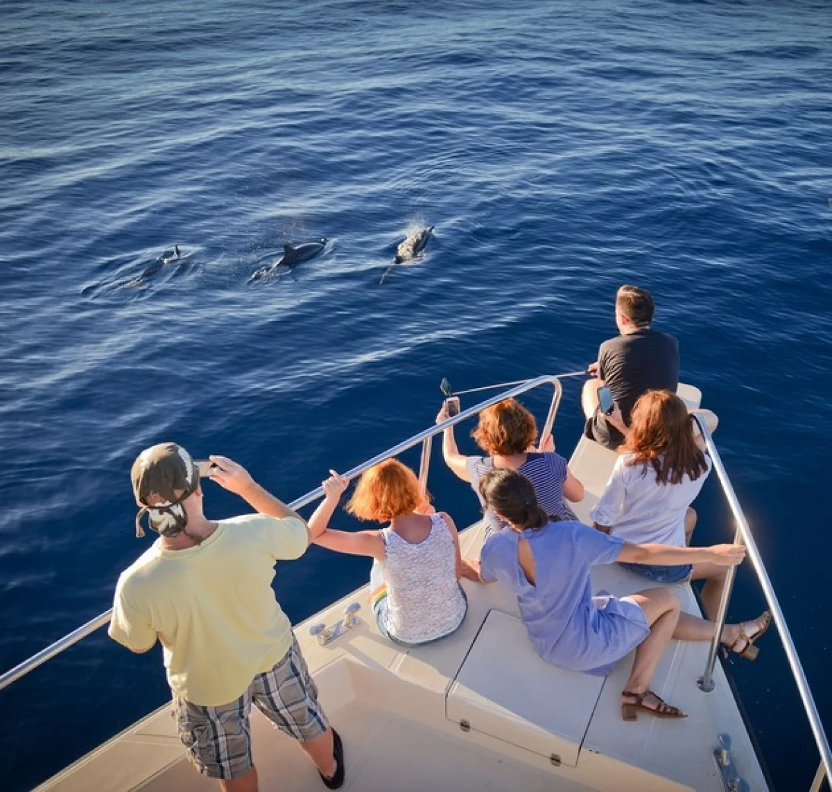 Sunset Dolphin Cruise
