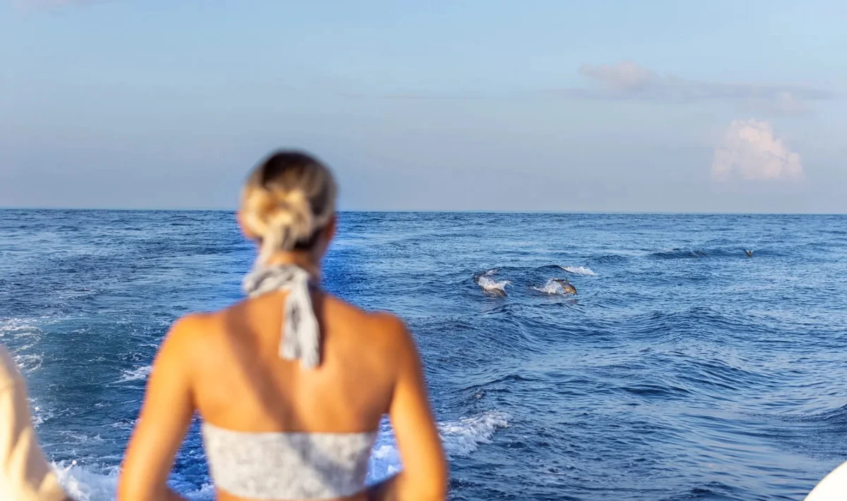 Snorkelling Adventures