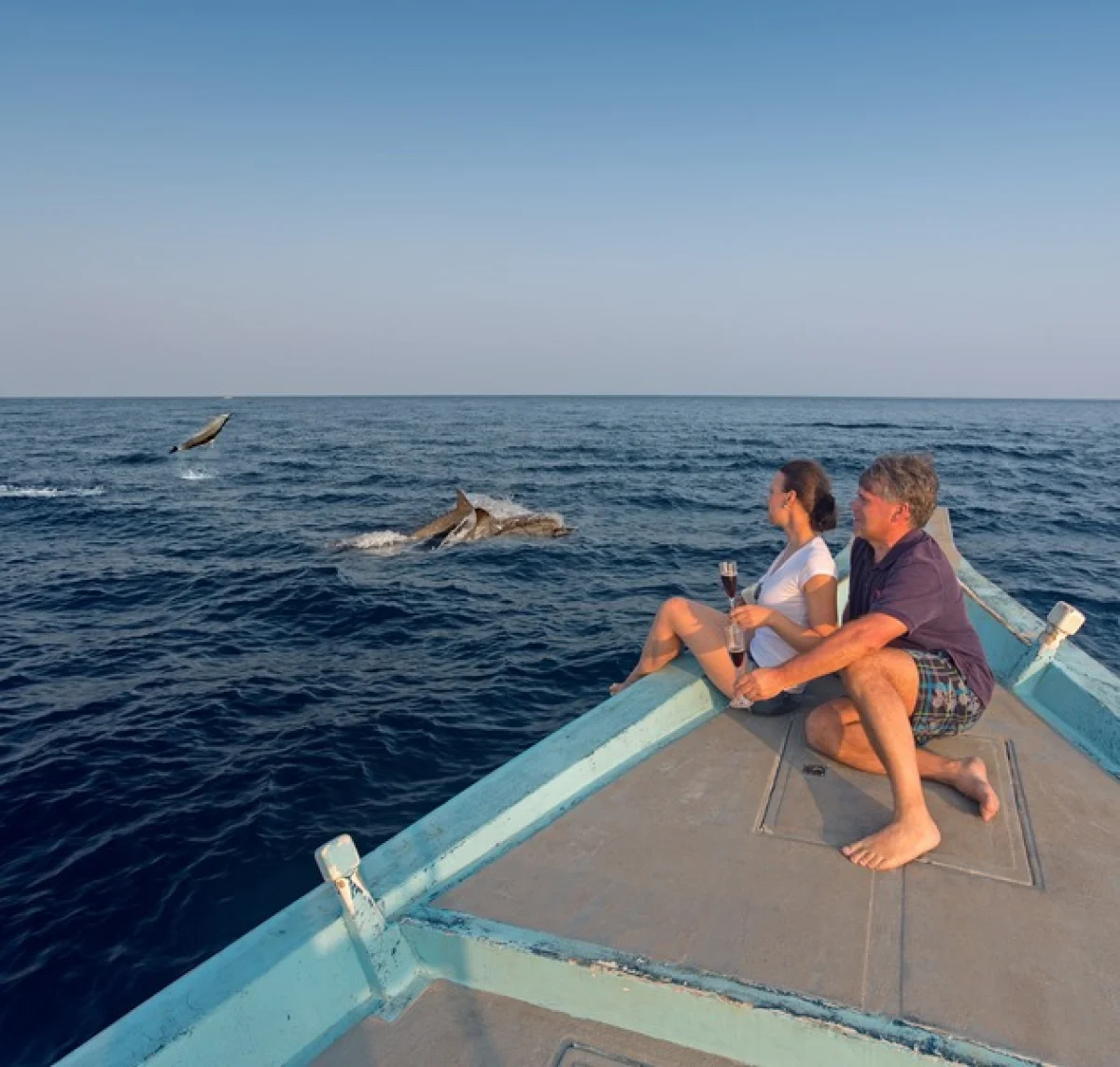 Sunset Dolphin Cruise